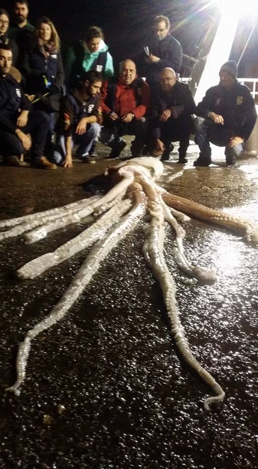 Potwór morski złapany u brzegów Hiszpanii