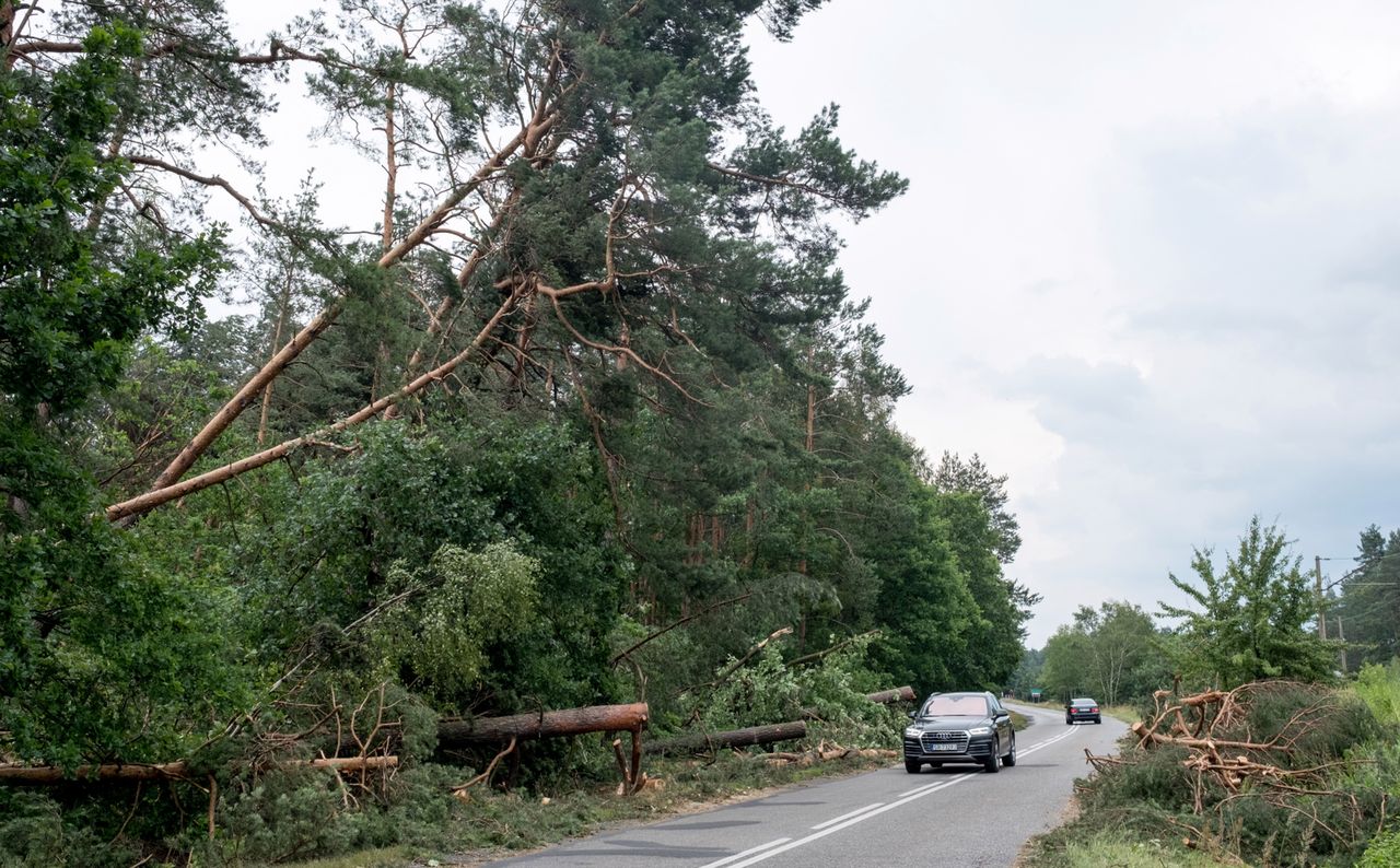 Burze nad Polską. Zerwane dachy, awarie prądu