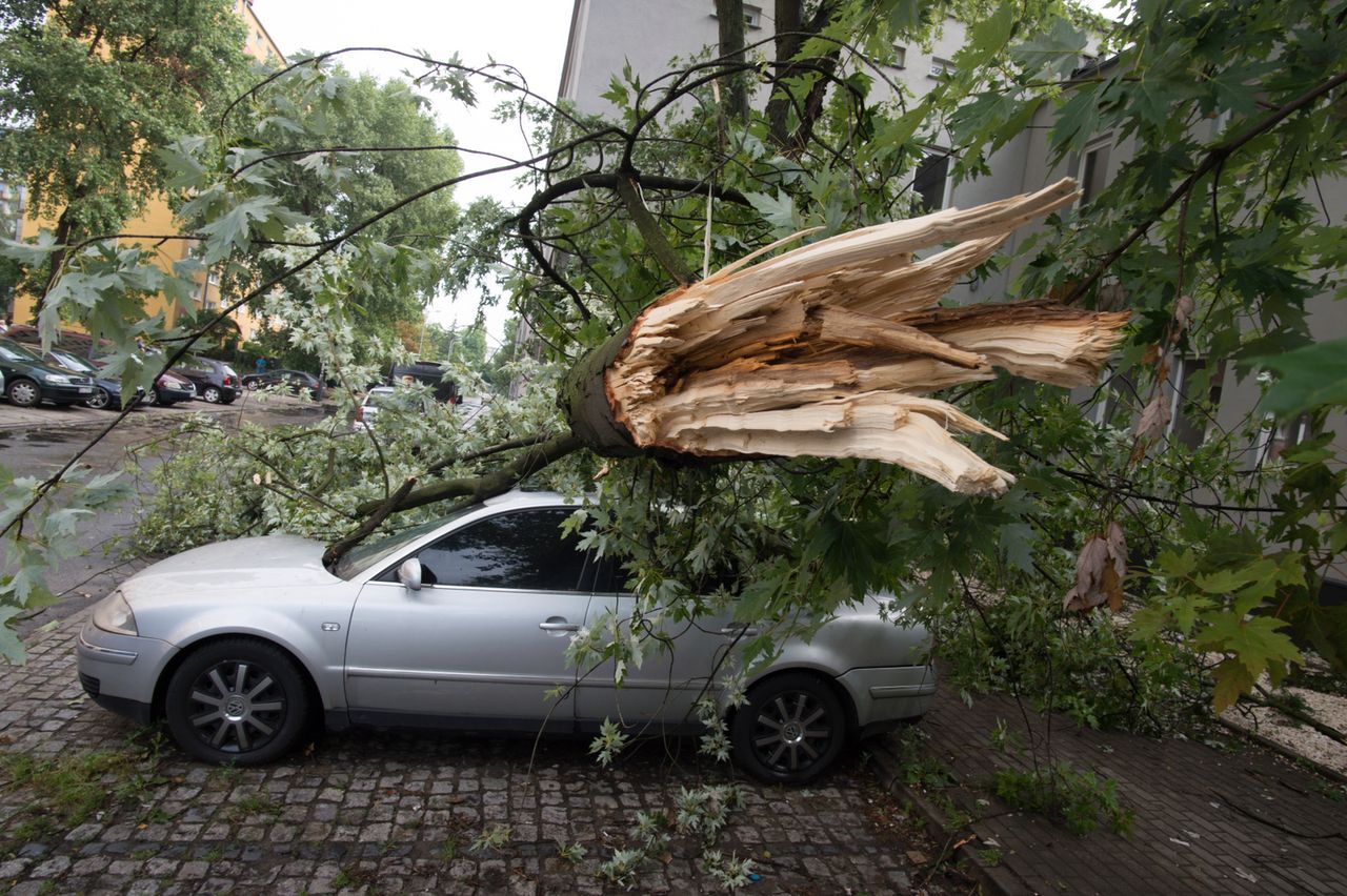 Wrocław: efekty huraganu Ciara w regionie