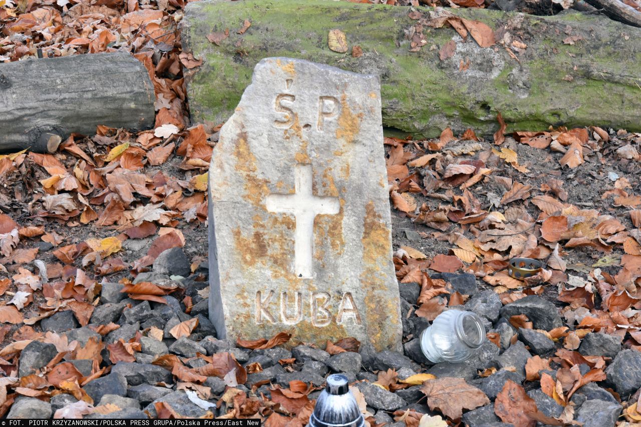 Legnica. Spadający konar zabił 13-latka. Nauczyciel oskarżony