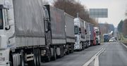 Zawężenie strefy Schengen to miliardowe straty. I wzrost cen