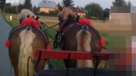Lubelskie. Pijany woźnica sprawcą kolizji.