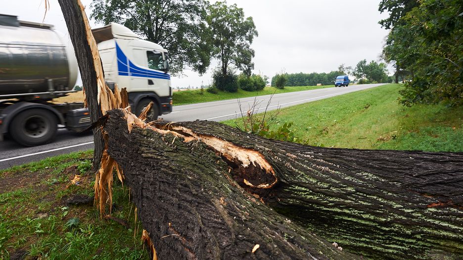 Efekty nawałnicy w województwie pomorskim