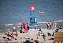 Sinice. Prawie wszystkie kąpieliska w Trójmieście zamknięte