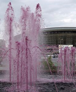 Katowice nie zmarnują tego potencjału