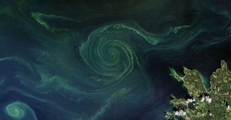Oceany zmieniają barwę. Do końca stulecia nawet połowa może być zielona
