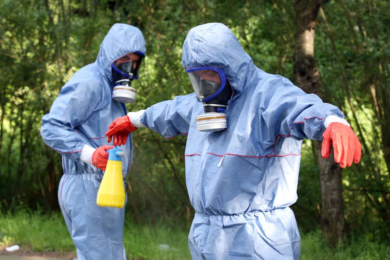 Plaga gąsienic zaatakowała Niemcy. Pozamykano kempingi, odwołano festyny