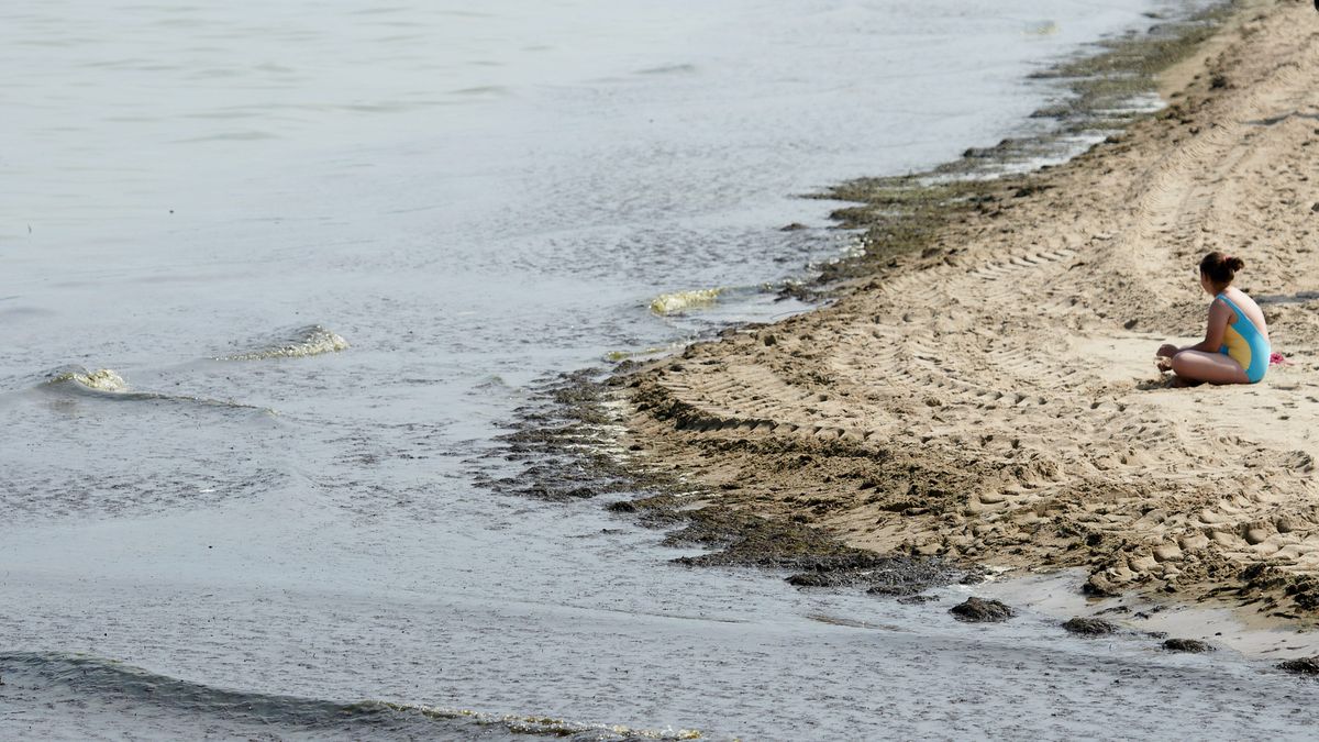 Sinice potrafią zepsuć nawet najlepiej zorganizowany wyjazd. 