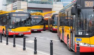 Warszawa. Komunikacja miejska 1 listopada. Dodatkowe linie autobusowe, żeby dojechać na cmentarz we Wszystkich Świętych