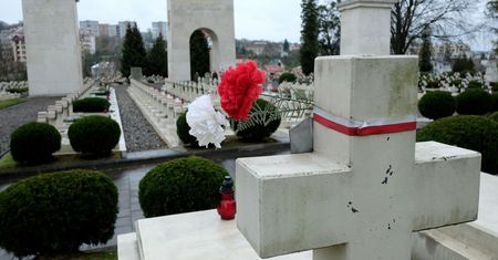 Polak skazany we Lwowie. "Wyzwalał" posągi na Cmentarzu Orląt Lwowskich