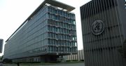 Ta organizacja zajmuje się ochroną twojego zdrowia. Co wiesz o WHO?