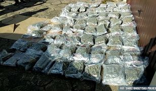 Małżeństwo z Kielc przemyciło do Polski 30 kg marihuany