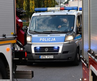 Łódź. Dramatyczne odkrycie na Widzewie