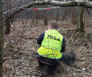 Znalazł zwłoki w lesie. Pomoże rozwiązać sprawę sprzed roku