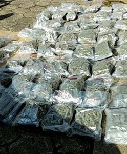 Małżeństwo z Kielc przemyciło do Polski 30 kg marihuany