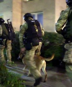 Policja rozbiła "grupę ożarowską" w Warszawie. Akcja na wielką skalę