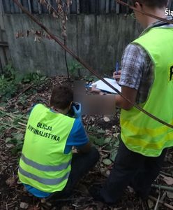Zwłoki znalezione 2 lata temu udało się zidentyfikować. Wszystko dzięki... wróżce z Włoch