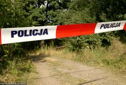 Makabryczne odkrycie w lesie. Znaleziono zwłoki przysypane ziemią
