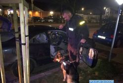 Dramatyczny pościg w Głogowie. W aucie maleńkie dzieci