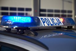 Legalizowali kradzione samochody. Policja odzyskała auta warte ponad 4 mln zł