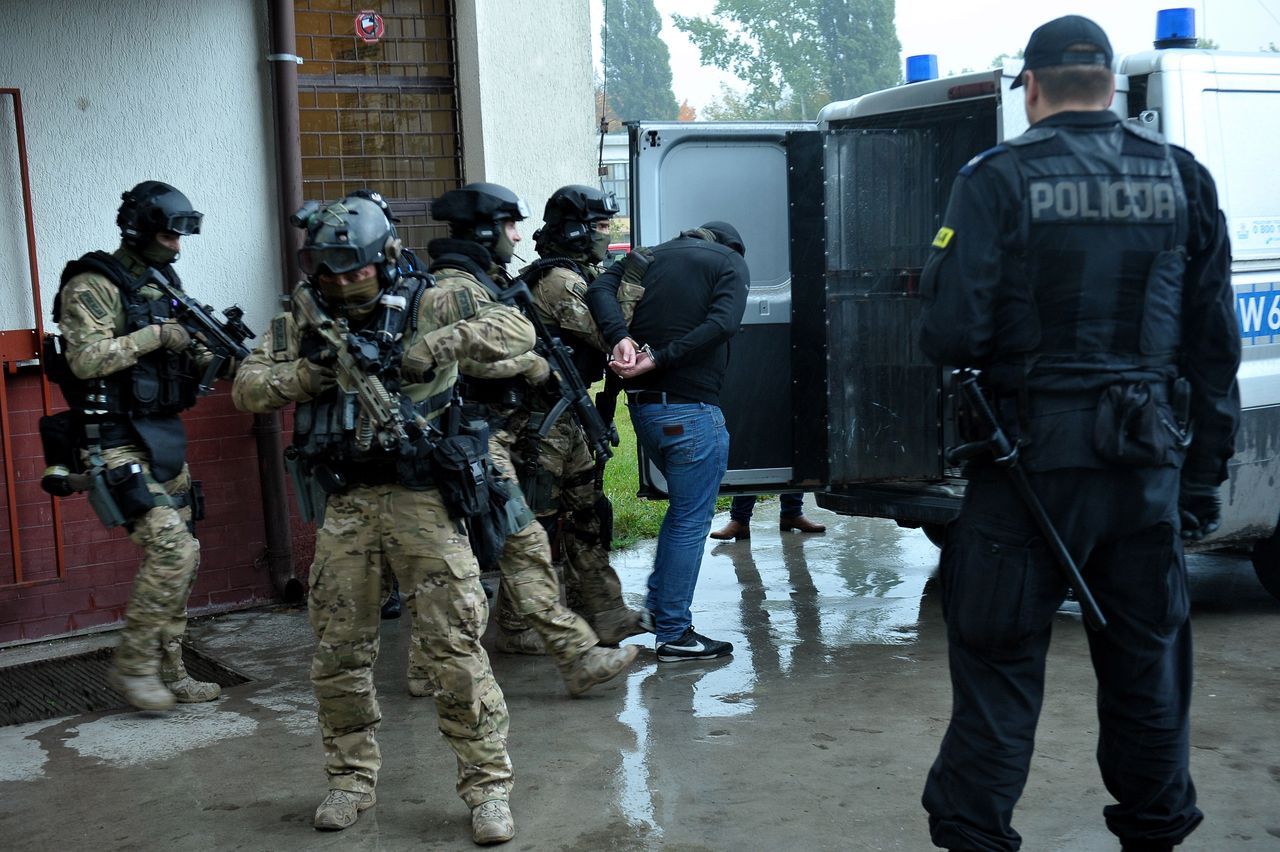 Lubisz język z "Pitbulla"? Sprawdź, czy zrozumiesz policjanta