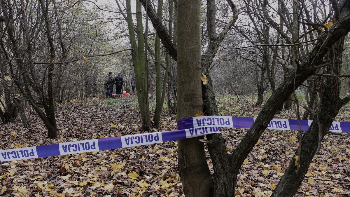 Tarnobrzeg. Szukali ciał dzików, dokonali strasznego odkrycia.