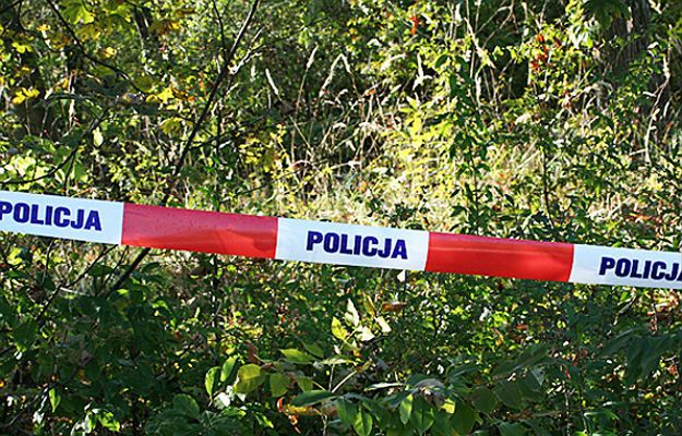 Obława na Dolnym Śląsku. Bandyta ukrywa się w lasach okolicach wsi Baranowice, może być uzbrojony