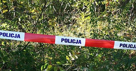 Toruń: podtruwał psa psychotropami. Potem zakopał go żywcem