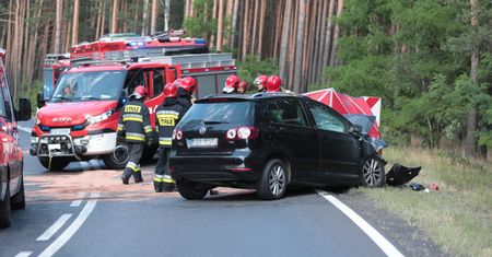 Prawie 300 śmiertelnych wypadków drogowych od początku wakacji