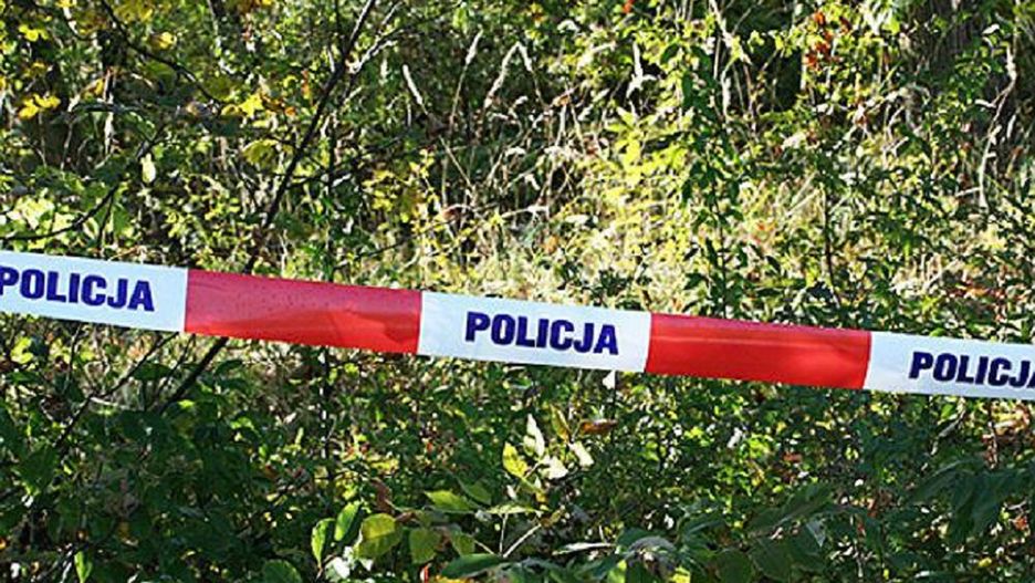 Mężczyźnie, który miał otruć i zakopać psa żywcem grozi do 3 lat więzienia.