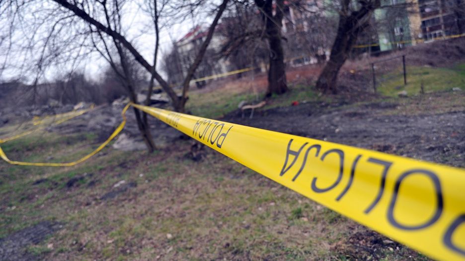 Nastolatka trafiła na ludzkie szczątki podczas spaceru z psem (zdjęcie poglądowe)