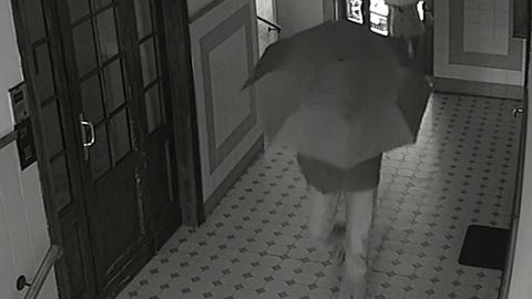 Złodzieje dla niepoznaki użyli parasolek