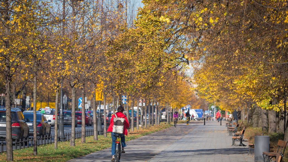 Warszawa. 43-letni mężczyzna podróżował z amfetaminą na kradzionym rowerze miejskim / foto ilustracyjne wyk.  2018-10-31