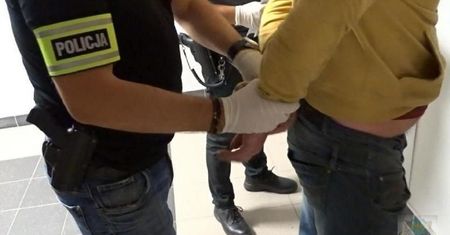 Opolskie. Pies brutalnie zabity. Zwierzę wisiało na drzewie