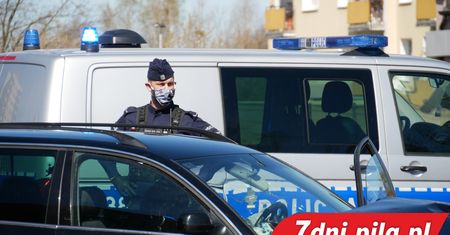 Dzieci podszywały się pod wolontariuszki