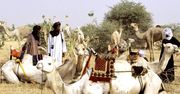 Wodaabe - jeden z ostatnich koczowniczych ludów afrykańskich