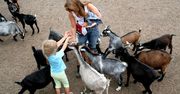 Polskie parki rozrywki - atrakcyjne miejsca na weekend poza miastem