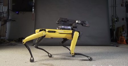 Robot-pies podbija sieć swoim tańcem. W dwie doby obejrzało go 3 miliony internautów