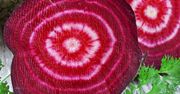 Flawonoidy - tajna broń roślinnych produktów