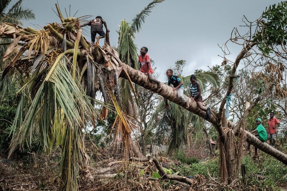 Dzieci na drzewie po przejściu cyklon Idai