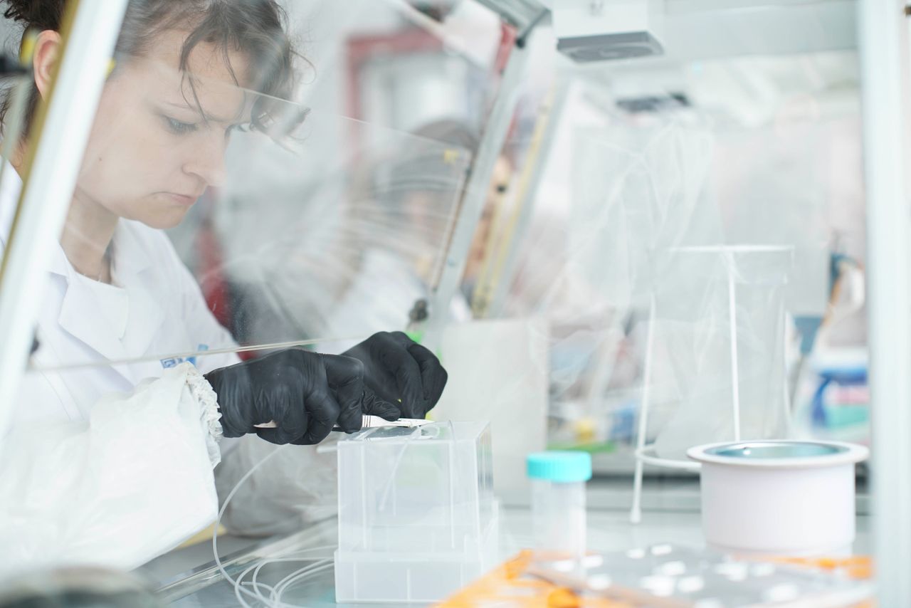 Polska firma szykuje się do podboju świata. Jej wynalazki mogą zrewolucjonizować służbę zdrowia