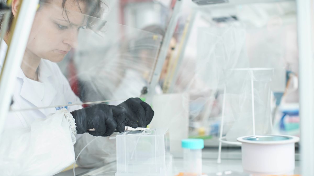 Scope Fluidics będzie produkował swoje maszyny w Polsce. Ale sprzedawać chce na całym świecie