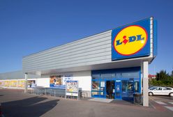 Czeski Lidl już w internecie. W Polsce sieć rejestruje domenę