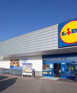 Policzyli, ile pieniędzy Lidl zostawia w kraju. Oburzający wynik raportu