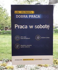 Jak sobota, to... do pracy do Lidla. Sieć szuka pracowników na jeden dzień w tygodniu