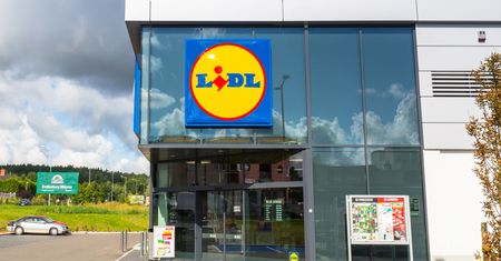 Lidl sprzedaje część zabawek drewnianych drożej w Polsce niż w Niemczech. Sieć tłumaczy
