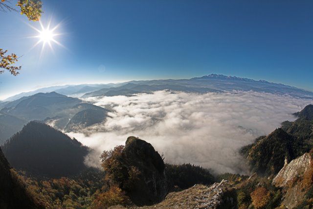 fot. tadekz - Shutterstock 