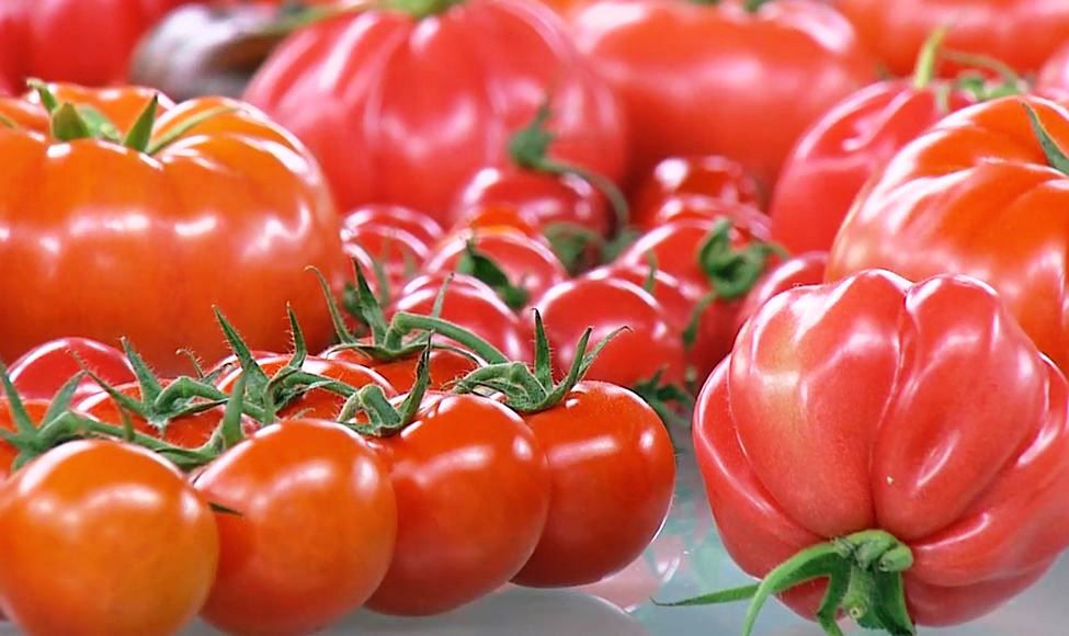 Pomidor pomidorowi nierówny. Krajowy, malinowy, śliwkowy. Jak kupić najlepsze?
