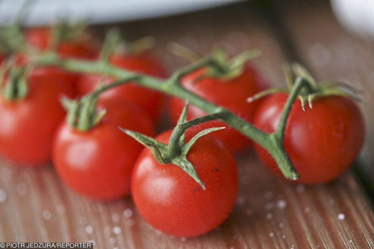 Kradzież pomidorków koktajlowych na Sycylii. Zagadka rozwiązana dzięki badaniom DNA
