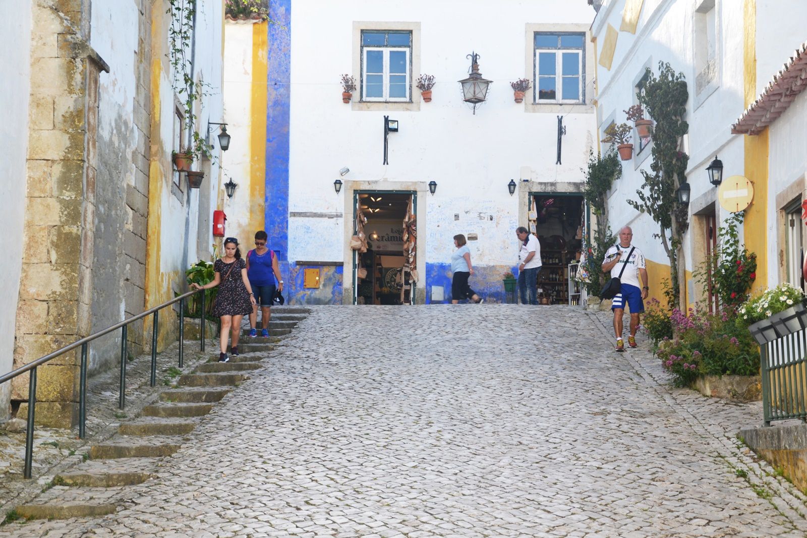 Obraz